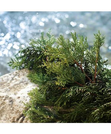 Discover Dolce&Gabbana Light Blue Summer Vibes Pour Homme Eau de Toilette 4.2 oz - Elevate Your Style Instantly! - Buy Online on GoSupps.com