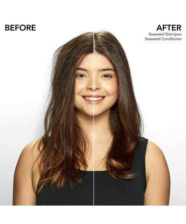 Bumble and bumble Travel Size Seaweed Nourishing Shampoo 2.0 oz - Discover Premium Quality Shop now! - Buy Online on GoSupps.com