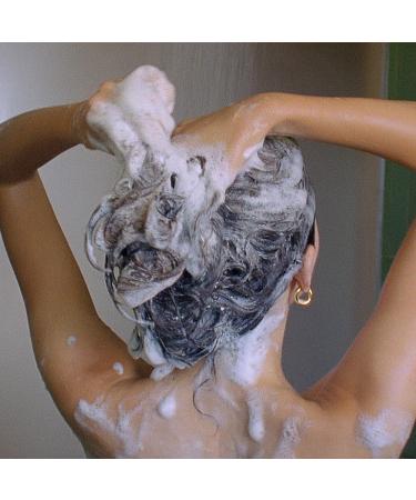 LolaVie Travel Size Restorative Shampoo 2.0 oz - Transform Your Style with the Best Innovation Today! - Buy Online on GoSupps.com