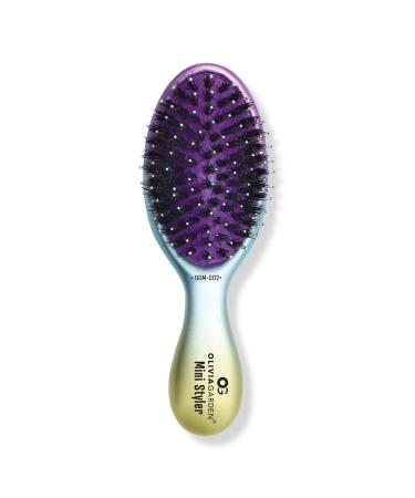 Olivia Garden Mini OG Dream Combo Bristle Brush