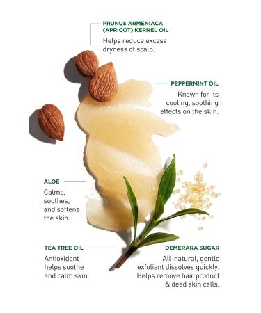 Discover Jack Black Exfoliating Scalp Scrub + Shampoo 5.0 oz - Elevate Your Style Instantly! - Buy Online on GoSupps.com