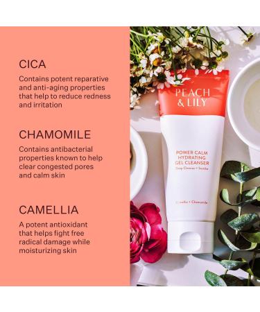 Discover PEACH & LILY Double Cleanse Travel Size Duo - Elevate Your Style Instantly! - Buy Online on GoSupps.com