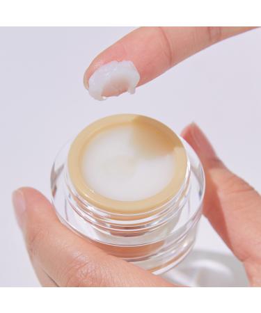 TONYMOLY Timeless Ferment Snail Lip Sleeping Mask 1 ct - Transform Your Style with the Best Innovation Today! - Buy Online on GoSupps.com