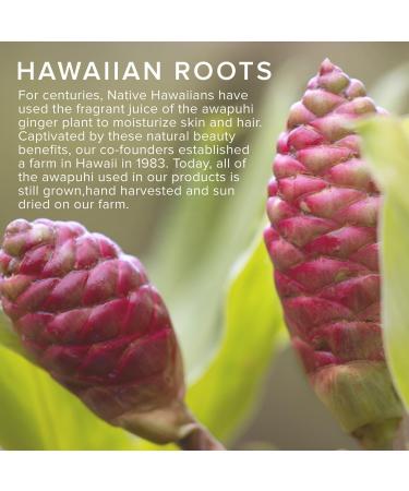 Discover Paul Mitchell Awapuhi Wild Ginger Anti-Frizz Hairspray 9.1 oz - Elevate Your Style Instantly! - Buy Online on GoSupps.com