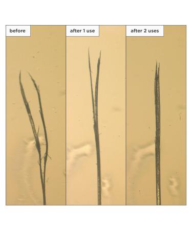 Briogeo Don't Despair, Repair! Moisture + Damage Defense Leave-In Hair Treatment - Transform Your Style with the Best Innovation Today! - Buy Online on GoSupps.com