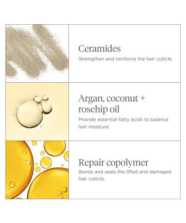 Briogeo Don't Despair, Repair! Moisture + Damage Defense Leave-In Hair Treatment - Transform Your Style with the Best Innovation Today! - Buy Online on GoSupps.com