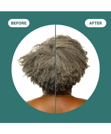CurlMix Wash and Go Conditioner 8.0 oz - Transform Your Style with the Best Innovation Today! - Buy Online on GoSupps.com