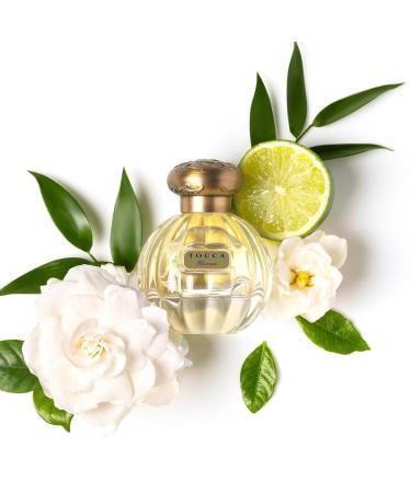 TOCCA Florence Eau de Parfum 1.7 oz - Discover Premium Quality Shop now! - Buy Online on GoSupps.com