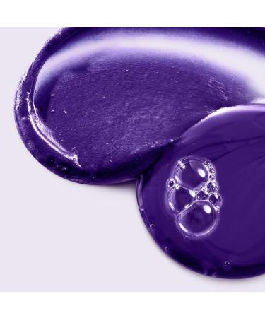 L'OrÃ©al EverPure Sulfate-Free Purple Shampoo 6.8 oz - Transform Your Style with the Best Innovation Today! - Buy Online on GoSupps.com