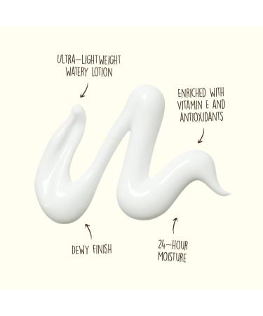 Sun Bum Daily 50 Face Lotion 1.7 oz - Transform Your Style with the Best Innovation Today! - Buy Online on GoSupps.com