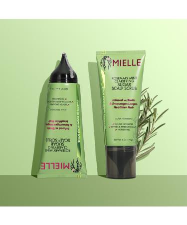Mielle Rosemary Mint Clarifying Sugar Scalp Scrub 6.0 oz - Transform Your Style with the Best Innovation Today! - Buy Online on GoSupps.com