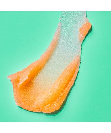 Tree Hut Sunkissed Poppy Shea Sugar Scrub 18 oz - Discover Premium Quality Shop now! - Buy Online on GoSupps.com