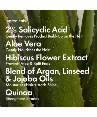 Bondi Boost Dandruff Repair Conditioner with 2% Salicylic Acid - Discover Premium Quality Shop now! - Buy Online on GoSupps.com