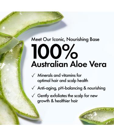 Bondi Boost HG Clarifying Rinse - Transform Your Style with the Best Innovation Today! - Buy Online on GoSupps.com
