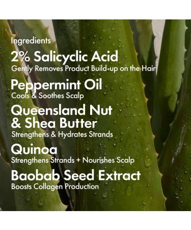 Discover Bondi Boost Dandruff Repair Hair Mask with 2% Salicylic Acid - Elevate Your Style Instantly! - Buy Online on GoSupps.com