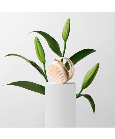 The Hair Edit Scalp Renew Bamboo & Silicone Shampoo Massage Brush - Transform Your Style with the Best Innovation Today! - Buy Online on GoSupps.com
