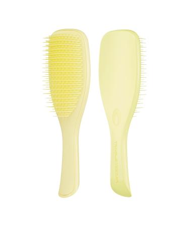 Discover Tangle Teezer Plant Brush for Naturally Curly Hair - Elevate Your Style Instantly! - Buy Online on GoSupps.com
