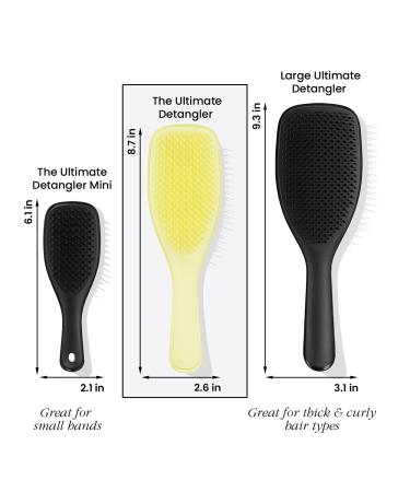Discover Tangle Teezer Plant Brush for Naturally Curly Hair - Elevate Your Style Instantly! - Buy Online on GoSupps.com
