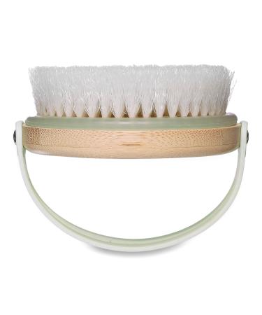 Earth Therapeutics Dry Body Brush with Bamboo - Transform Your Style with the Best Innovation Today! - Buy Online on GoSupps.com