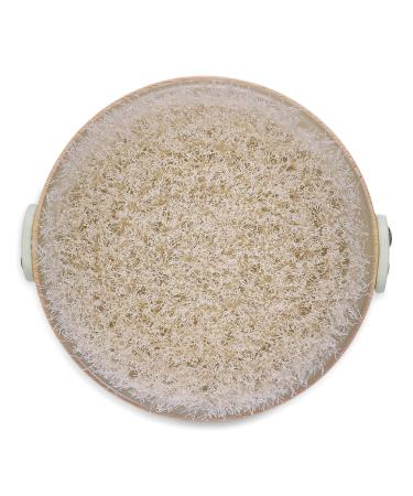 Earth Therapeutics Dry Body Brush with Bamboo - Transform Your Style with the Best Innovation Today! - Buy Online on GoSupps.com