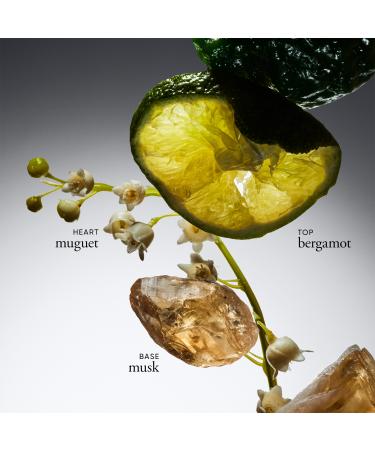 Philosophy Amazing Grace Eau de Toilette Pen Spray 0.33 oz - Transform Your Style with the Best Innovation Today! - Buy Online on GoSupps.com