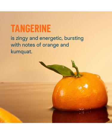 LIQUID I.V. Hydration Multiplier+ Immune Support Electrolyte Drink Mix Tangerine 10 ct - Discover Premium Quality Shop now! - Buy Online on GoSupps.com