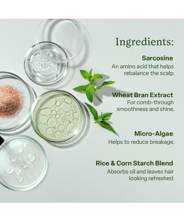 Discover Divi Dry Shampoo 5.3 oz - Elevate Your Style Instantly! - Buy Online on GoSupps.com