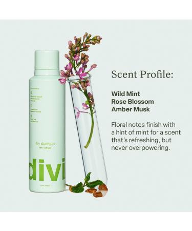 Discover Divi Dry Shampoo 5.3 oz - Elevate Your Style Instantly! - Buy Online on GoSupps.com
