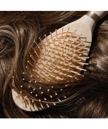 Discover EcoTools Shine Activating Detangler Hairbrush - Elevate Your Style Instantly! - Buy Online on GoSupps.com