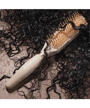 Discover EcoTools Curl Activating Detangler Hairbrush - Elevate Your Style Instantly! - Buy Online on GoSupps.com