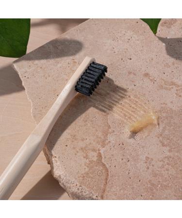 EcoTools Edge Defining & Smoothing Hairbrush - Discover Premium Quality Shop now! - Buy Online on GoSupps.com