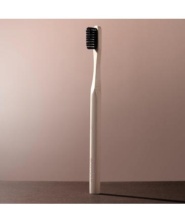EcoTools Edge Defining & Smoothing Hairbrush - Discover Premium Quality Shop now! - Buy Online on GoSupps.com