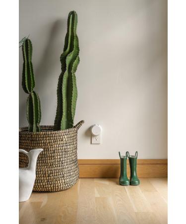 Discover Pura V4 Smart Fragrance Diffuser - Elevate Your Style Instantly! - Buy Online on GoSupps.com