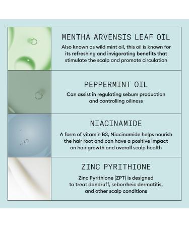 Nioxin Scalp Recovery System - Discover Premium Quality Shop now! - Buy Online on GoSupps.com