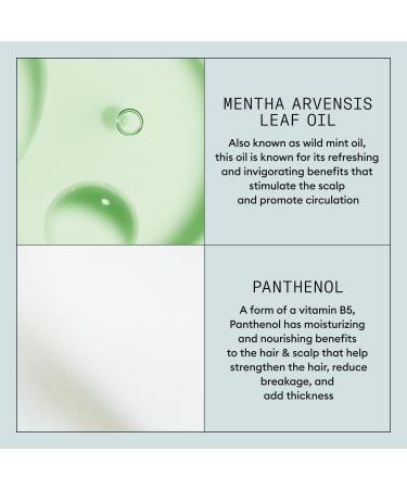 Nioxin Volumizing + Thickening Mousse 6.7 oz - Transform Your Style with the Best Innovation Today! - Buy Online on GoSupps.com