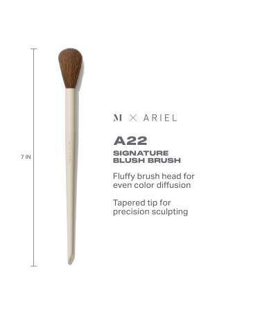 Morphe Morphe X Ariel A22 Signature Blush Brush 1 ct - Discover Premium Quality Shop now! - Buy Online on GoSupps.com