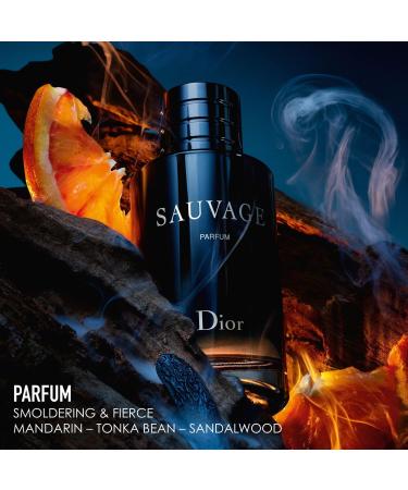 Discover Dior Sauvage Set Parfum and Travel Spray - Elevate Your Style Instantly! - Buy Online on GoSupps.com