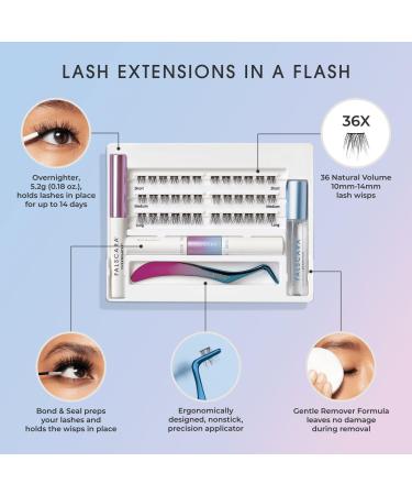 Kiss Falscara Special Edition Starter Kit, Lash Clusters, Lengthening Wisps - Transform Your Style with the Best Innovation Today! - Buy Online on GoSupps.com