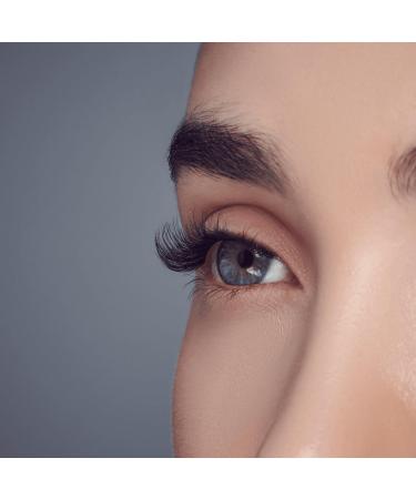 Kiss Falscara Special Edition Starter Kit, Lash Clusters, Lengthening Wisps - Transform Your Style with the Best Innovation Today! - Buy Online on GoSupps.com