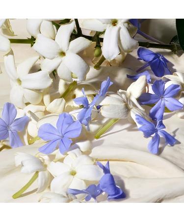 Discover Dolce&Gabbana Dolce Blue Jasmine Eau de Parfum 2-Pc Gift Set - Elevate Your Style Instantly! - Buy Online on GoSupps.com