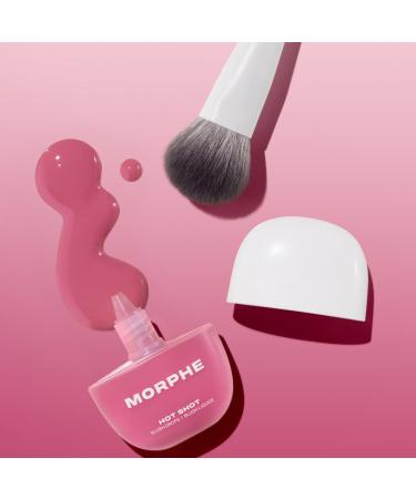 Morphe M201 Rounded Cream & Liquid Blush Brush 1 ct - Transform Your Style with the Best Innovation Today! - Buy Online on GoSupps.com
