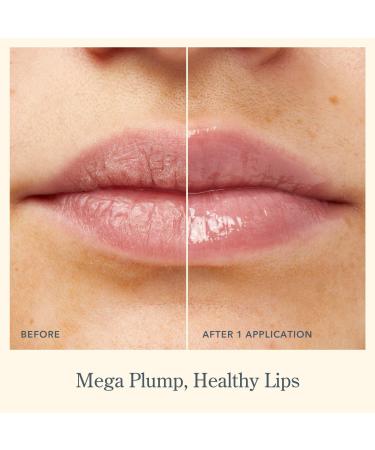 Beekman 1802 Oh! Mega Milk Lip Oil 0.14 oz - Discover Premium Quality Shop now! - Buy Online on GoSupps.com