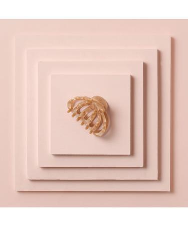 Discover The Hair Edit Jellyfish Claw Clip - Latte Marble - Elevate Your Style Instantly! - Buy Online on GoSupps.com