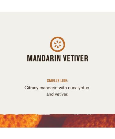 Discover Every Man Jack Mandarin Vetiver Body Wash 16.9 oz - Elevate Your Style Instantly! - Buy Online on GoSupps.com