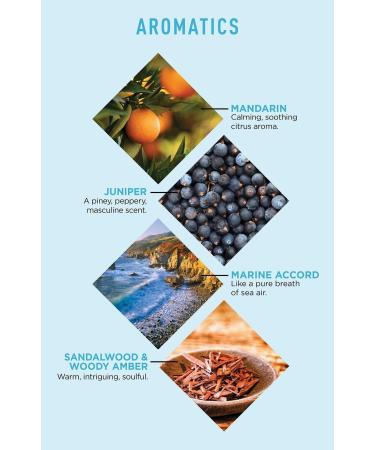 Discover Jack Black Big Sir Refreshing Body Lotion 16.0 oz - Elevate Your Style Instantly! - Buy Online on GoSupps.com