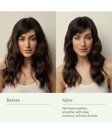 Divi Hydrating Shampoo 12.0 oz - Transform Your Style with the Best Innovation Today! - Buy Online on GoSupps.com