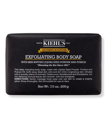 Kiehl's Since 1851 Grooming Solutions Exfoliating Body Soap 7.0 oz