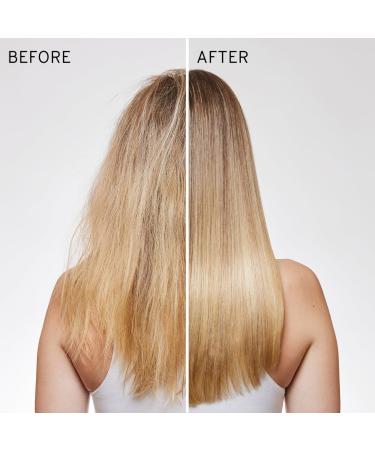 Discover FEKKAI Brilliant Glossing Styling CrÃ¨me 3.4 oz - Elevate Your Style Instantly! - Buy Online on GoSupps.com