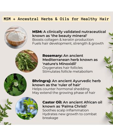 Discover Qhemet Biologics MSM + ROSEMARY Scalp Nutrients Balm 4.0 oz - Elevate Your Style Instantly! - Buy Online on GoSupps.com