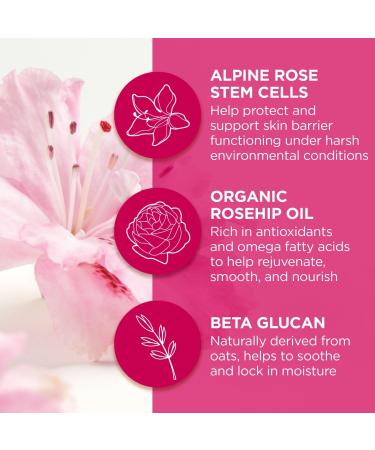 Discover Andalou Naturals 1000 Roses Lip Sleeping Mask 0.42 oz - Elevate Your Style Instantly! - Buy Online on GoSupps.com